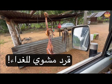 سورينام 162