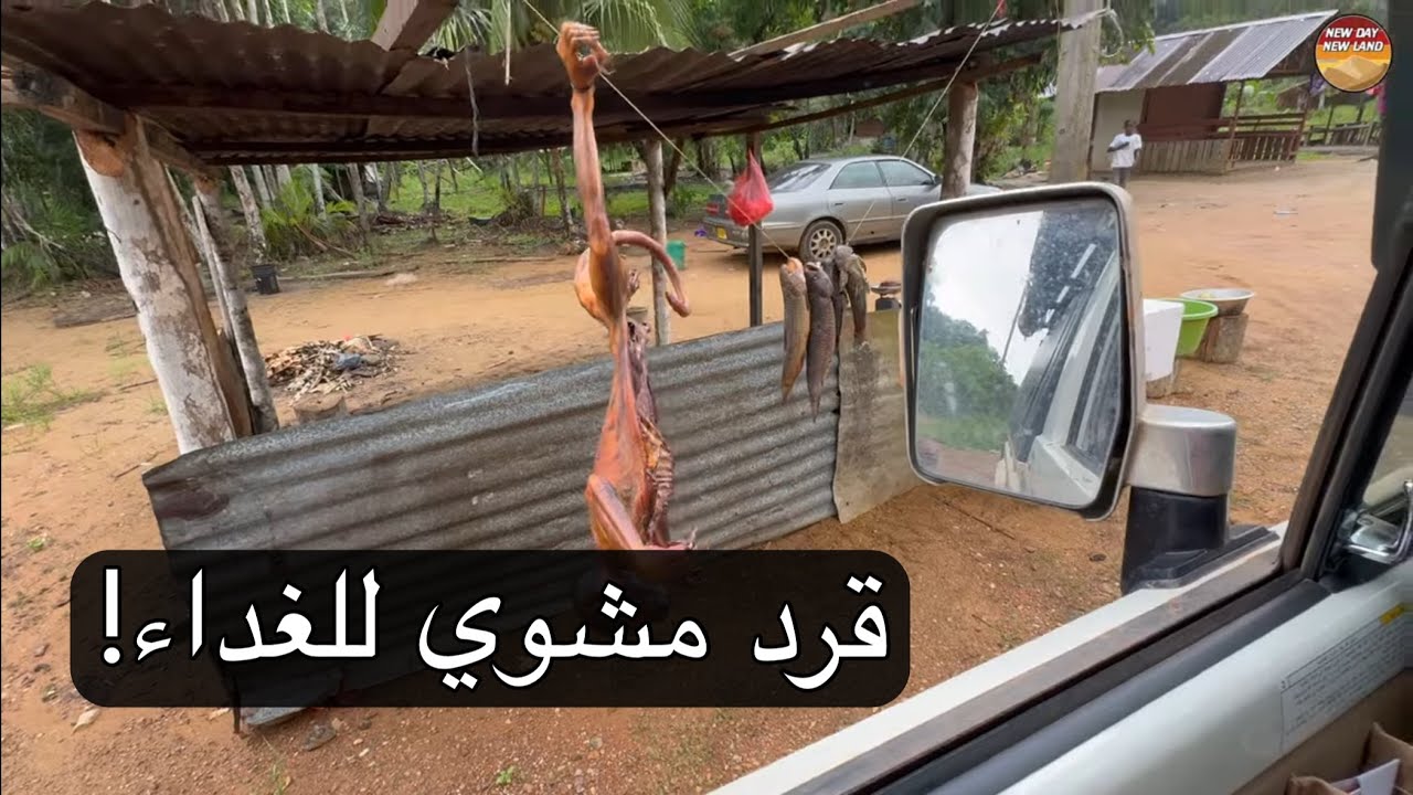 سورينام - 🇸🇷 162