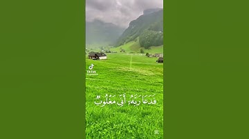 (فدعا ربه أني مغلوب فانتصر)#سورة #اكسبلور #قران_كريم #راحة_نفسية #قرآن #لايك #حالات_واتس #سورة_القمر