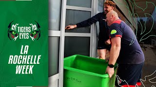 Tigers Eyes | KIT MAN DUTIES, Investec Champions Cup Round 3, La Rochelle