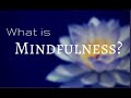 Dbt  mindfulness intro what is it and how does it help