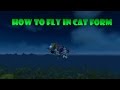 How to fly in cat form 62