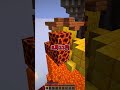 きみのたんじょうびはよばれた?#shorts #マイクラ