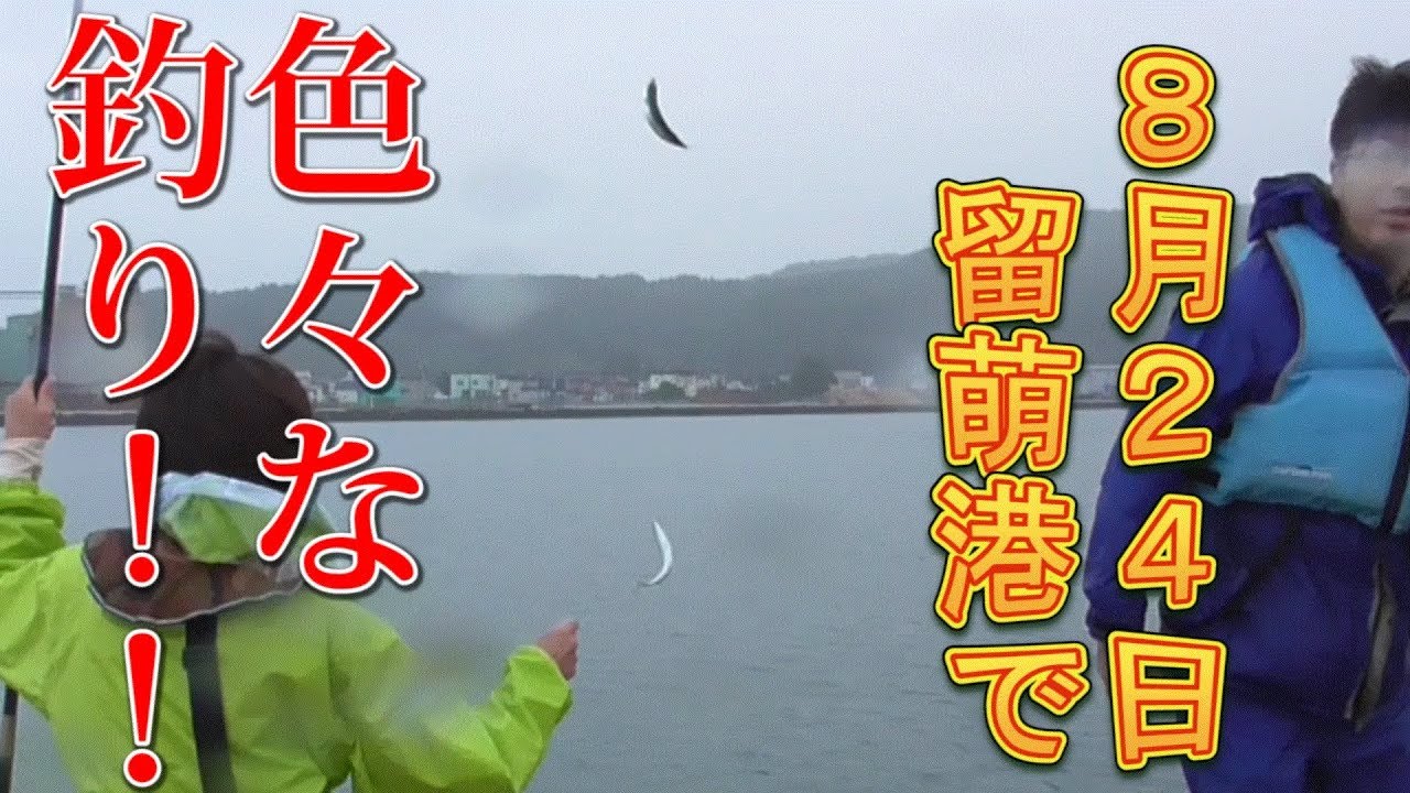 釣り ８月２４日留萌港で色々釣る Youtube