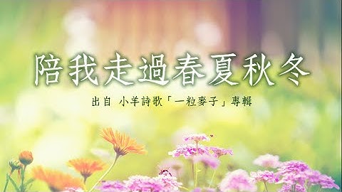 陪我走過春夏秋冬-小羊詩歌(一粒麥子) - 天天要聞