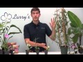 Rehabilitating Dehydrated Orchids: Semi-Hydroponics - YouTube