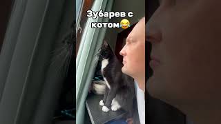 ЗУБАРЕВ С КОТОМ😂