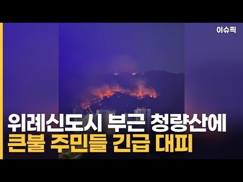 <strong>위례신도시</strong> 부근 청량산에 큰불 주민들 긴급 대피 [이슈픽]