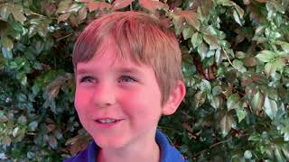 What do teachers do in the holidays