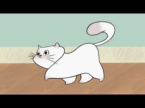 Ravioli : a CGT 118 Animation