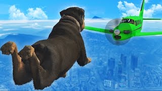 GTA 5 FAILS & WINS: #29 (GTA 5 Epic & Funny Moments Compilation) GTA 5 FAILS & WINS: #29 (GTA 5 Epic & Funny Moments Compilation)