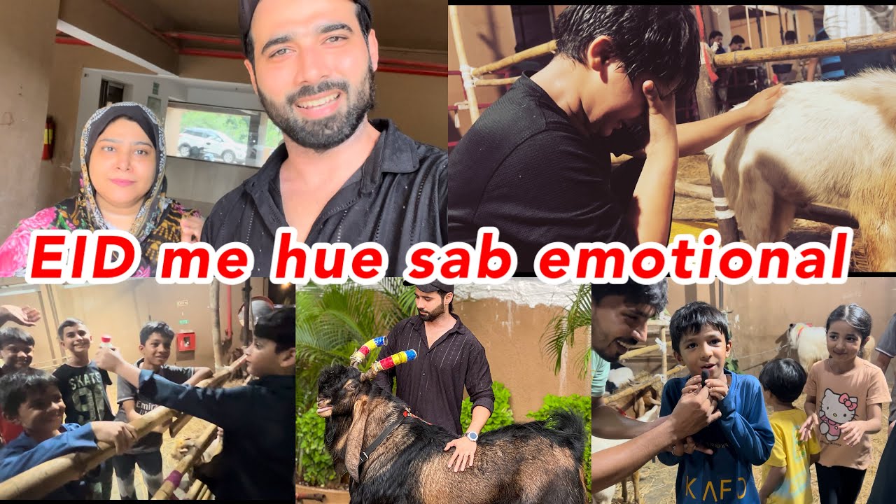 eid-me-hue-sab-emotional-bakra-eid-vlog-shezaan-shaikh-youtube