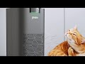 Air purifiers for home large room ganiza 1077ft 23db less noise air purifiers for pets