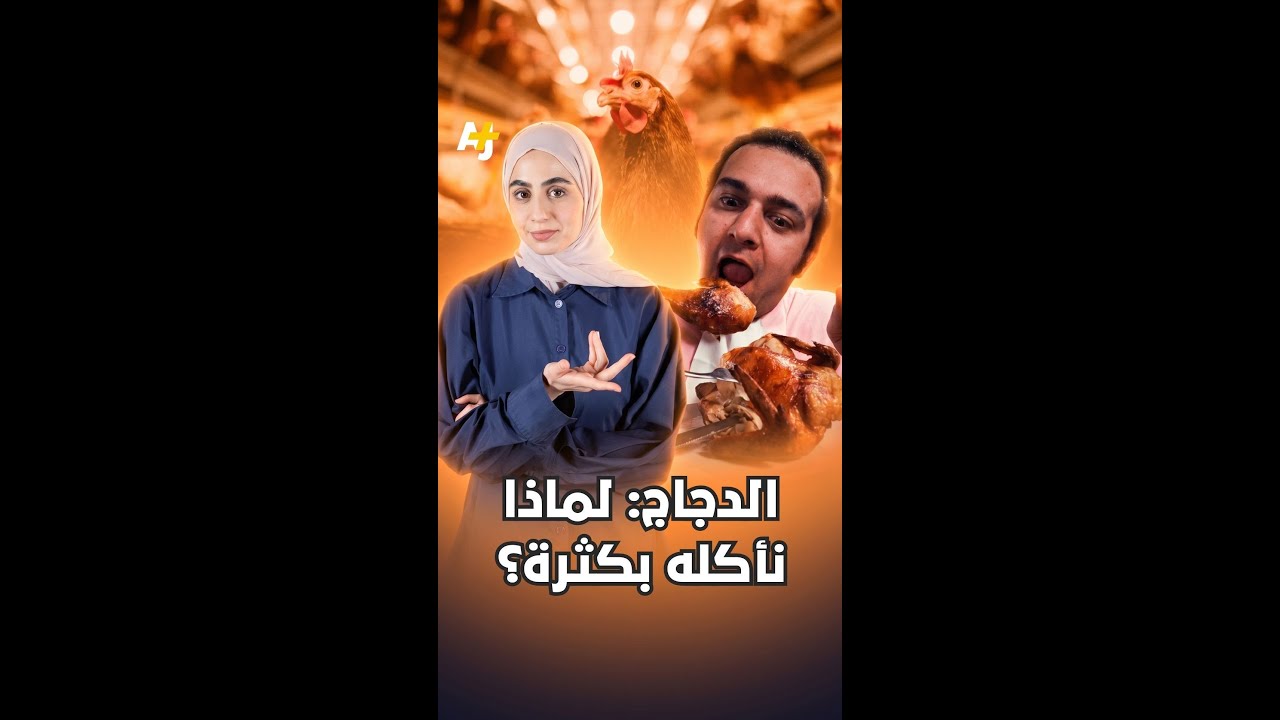 الدجاج: لماذا نأكله بكثرة؟