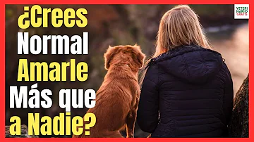 ¿Por qué quiero tanto a mi perro?