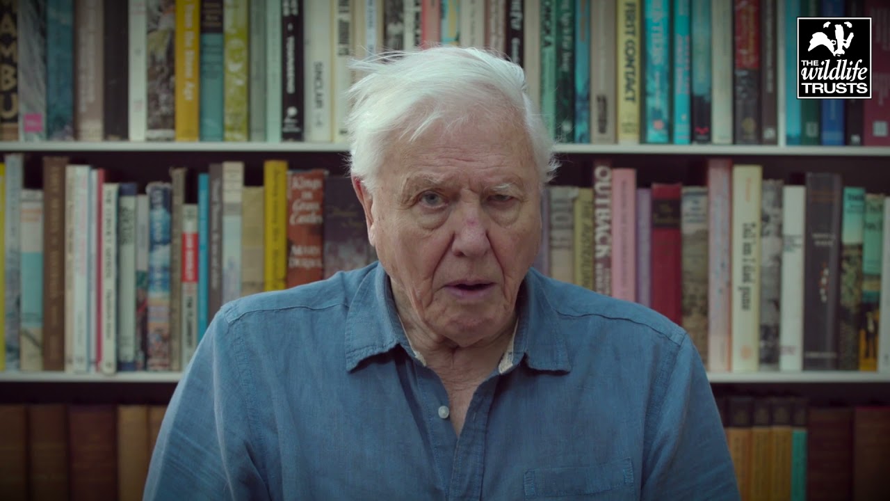 Sir David Attenborough - Let Nature Help