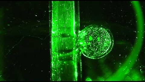 flow visualization around aneurysm model