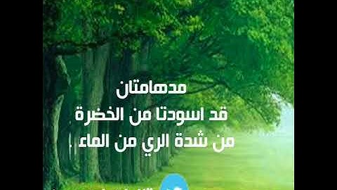مدهامتان - سورة الرحمن - عبدالإله بن عون