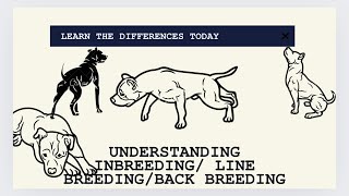 Understanding Inbreeding Line Breeding Back Crossing