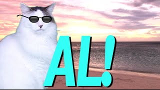 Happy Birtay Al - Epic Cat Happy Birtay Song