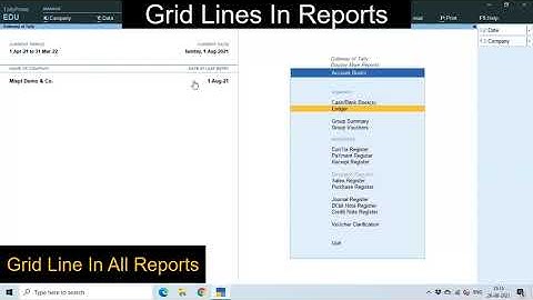 Grid Lines In Reports TDL / Addon / Module in Tally