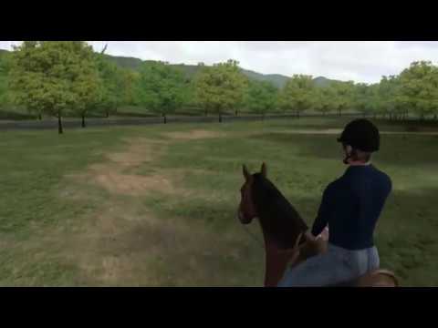 Видео: У глаз есть это - Часть 2 - Экстренные ситуации со зрением лошади