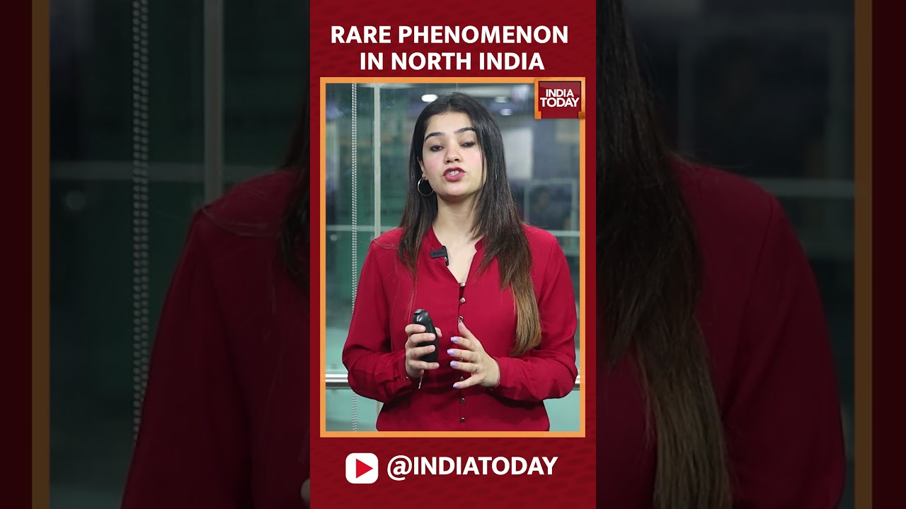 Rare Phenomenon Pummeling Rains In North India, Not Climate Change | Floods in Himachal | 