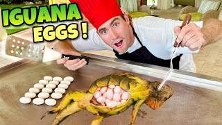 Eating Iguana Egg Omelettes ! {Catch, Clean, Cook}