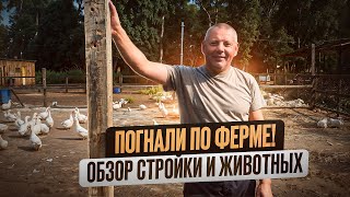 видео: Фермерский обзор СЕНТЯБРЯ: стройки, заготовка сена и овса и жизнь животных! 🏡🛠️🐓 #МоеПодворье картинка: Фермерский обзор СЕНТЯБРЯ: стройки, заготовка сена и овса и жизнь животных! 🏡🛠️🐓 #МоеПодворье