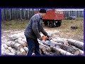 Валка, Треллевка, Погрузка Березы с КОРНЯ. ЛТЗ-60, Десятикубовка || Stihl ms361.