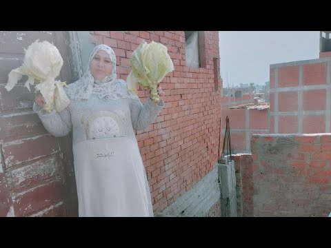 ب اتنين من الكرنب ل فراخك وشوفي خيرهم فوائد الكرنب للطيور وبيض الفراخ