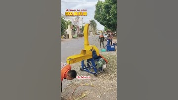Máy Băm Cỏ Công Nghiệp 2T | Băm đa dạng nguyên liệu, thuận lợi sử dụng trang trại chăn nuôi
