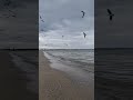 Тихое море в Одессе. #черноеморе #море #одесса #штиль #звукиприроды #sea