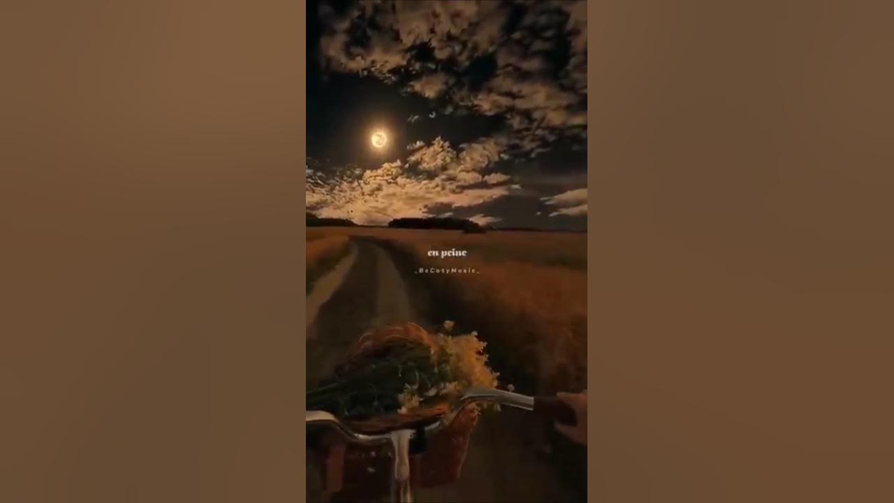 Love story - Indila🍁| aesthetic lyrics🦋...whatsapp status #shorts #lovestory #lyrics #aesthetic Love story - Indila🍁| aesthetic lyrics🦋...whatsapp status #shorts #lovestory #lyrics #aesthetic