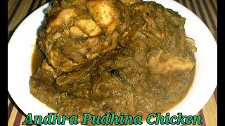 Andhra Pudhina Chicken / ஆந்திர ஸ்டைல் புதினா சிக்கன் || EP 127