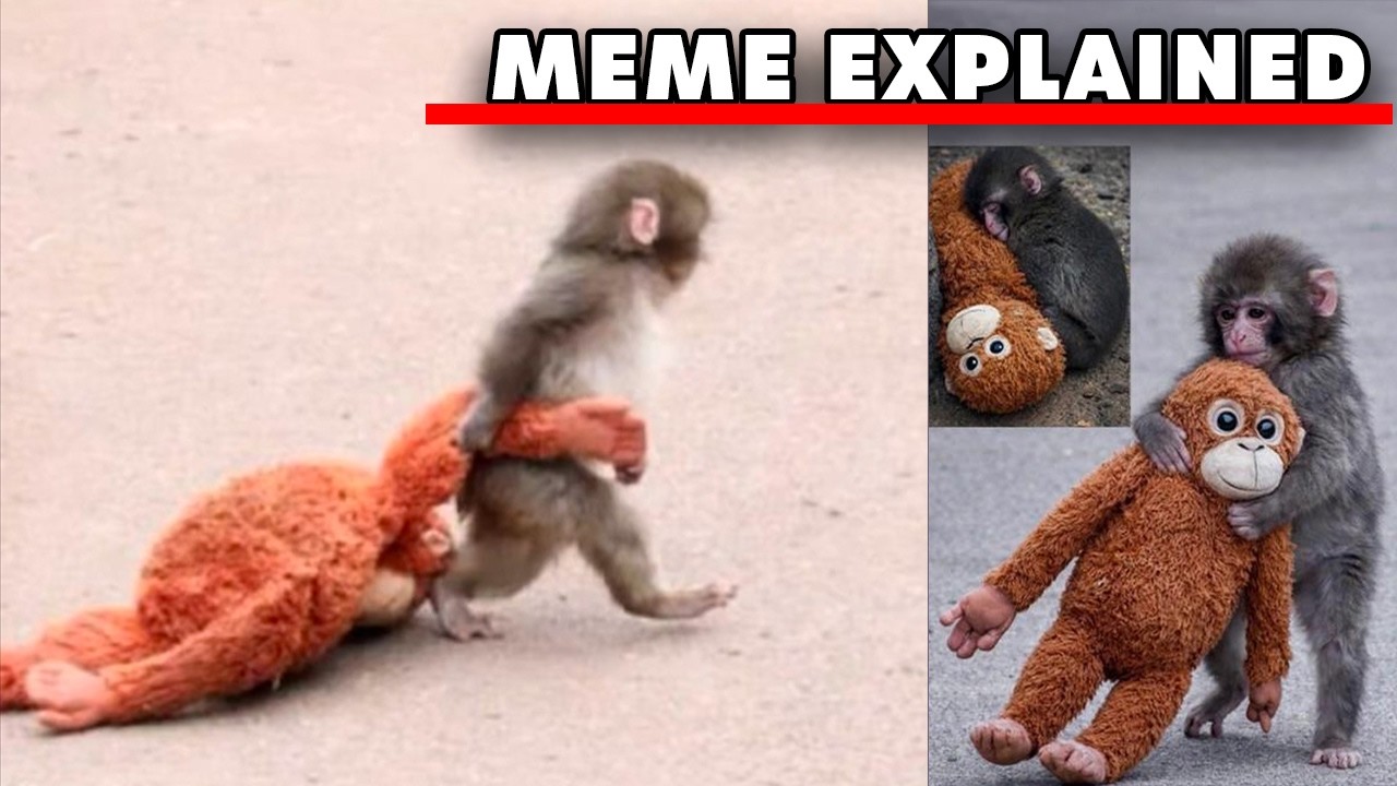 How A Sad Monkey Won Over the Internet