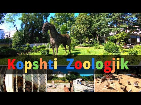 Video: Ku është kopshti zoologjik hogle?