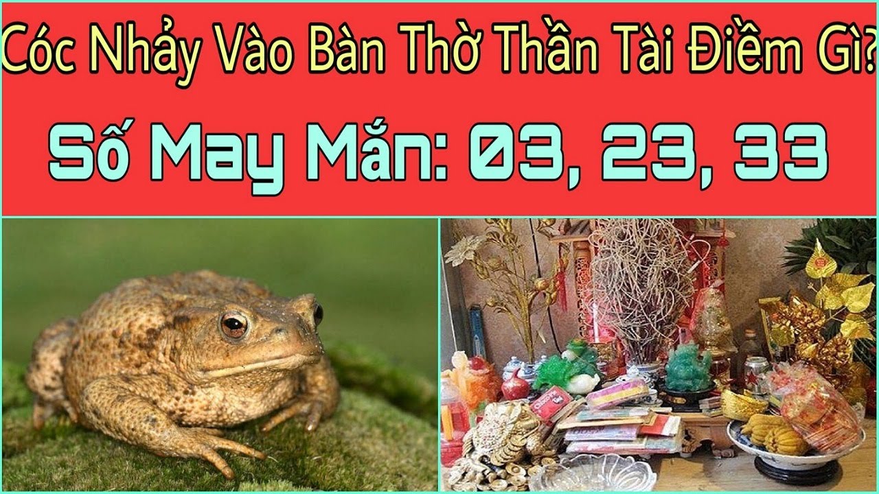 CÓC Nhảy Vào BÀN THỜ THẦN TÀI Điềm Báo Gì? Cóc Nhảy Vào Bàn Thờ ...