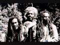 Israel vibration  there is no end