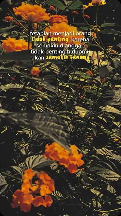 Dadi wong ora penting yo penting. #shortvideo #motofasikehidupan #feedshorts
