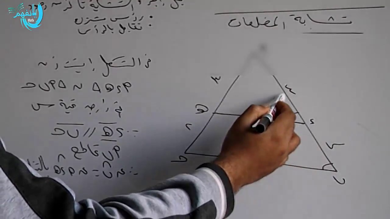 التشابة الصف الثانى الاعدادى 2017