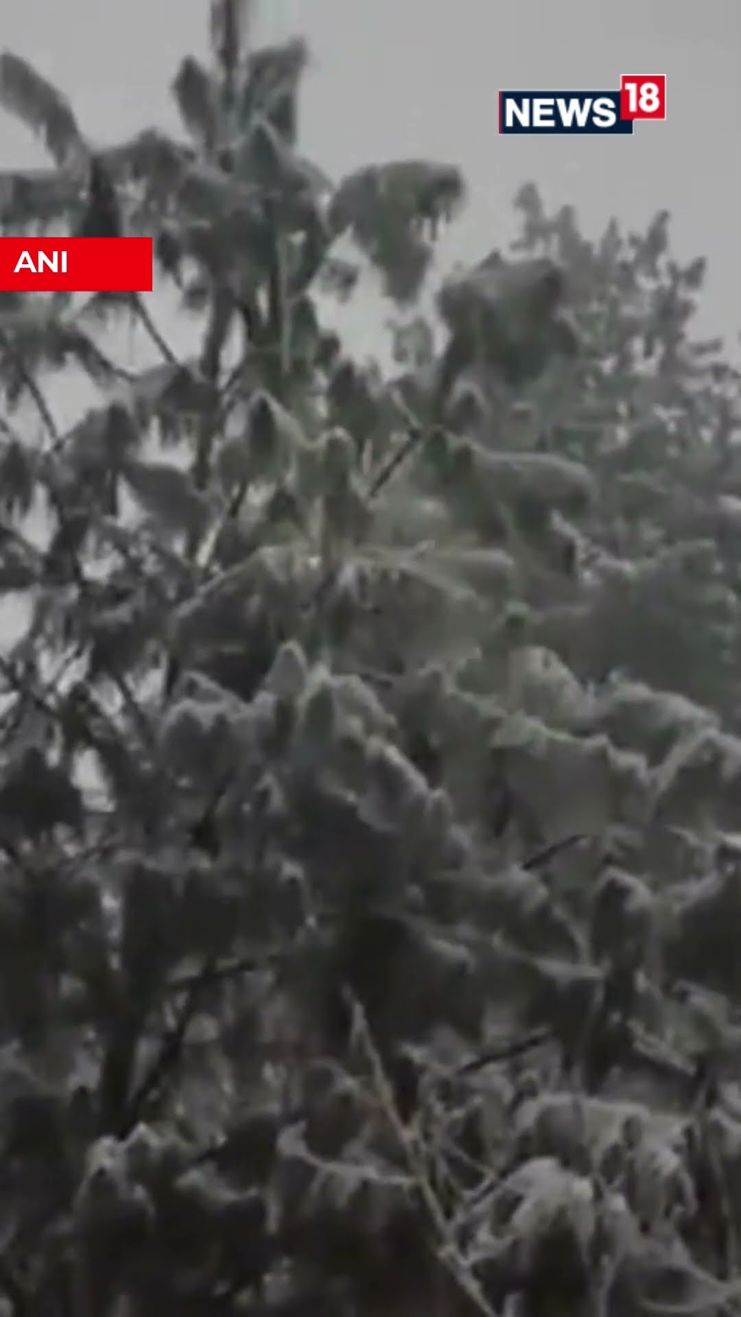 J\u0026K: Doda Covered In A Snow Blanket As The Area Receives Heavy Snowfall | News18 | N18S