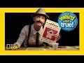 Episode Analysis and Character Behavior