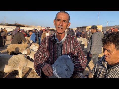 مباشرة من سوق ثلات أولاد 07 10 2025 مع التمن حولي والنعجة وحولية