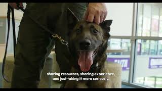 School Security Horiz Video 26 27 Annual Campaign