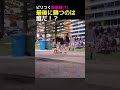 ワンちゃんはここに住むらしい。パパは家に帰るね。