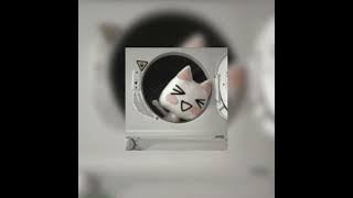 can’t remember to forget you (speed up reverb)