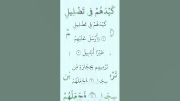 #ساعدنا #القرآن_الكريم #الجميع @toulmande #تيك_توك #لايك #duet #سورةالفيل #اكسبلور