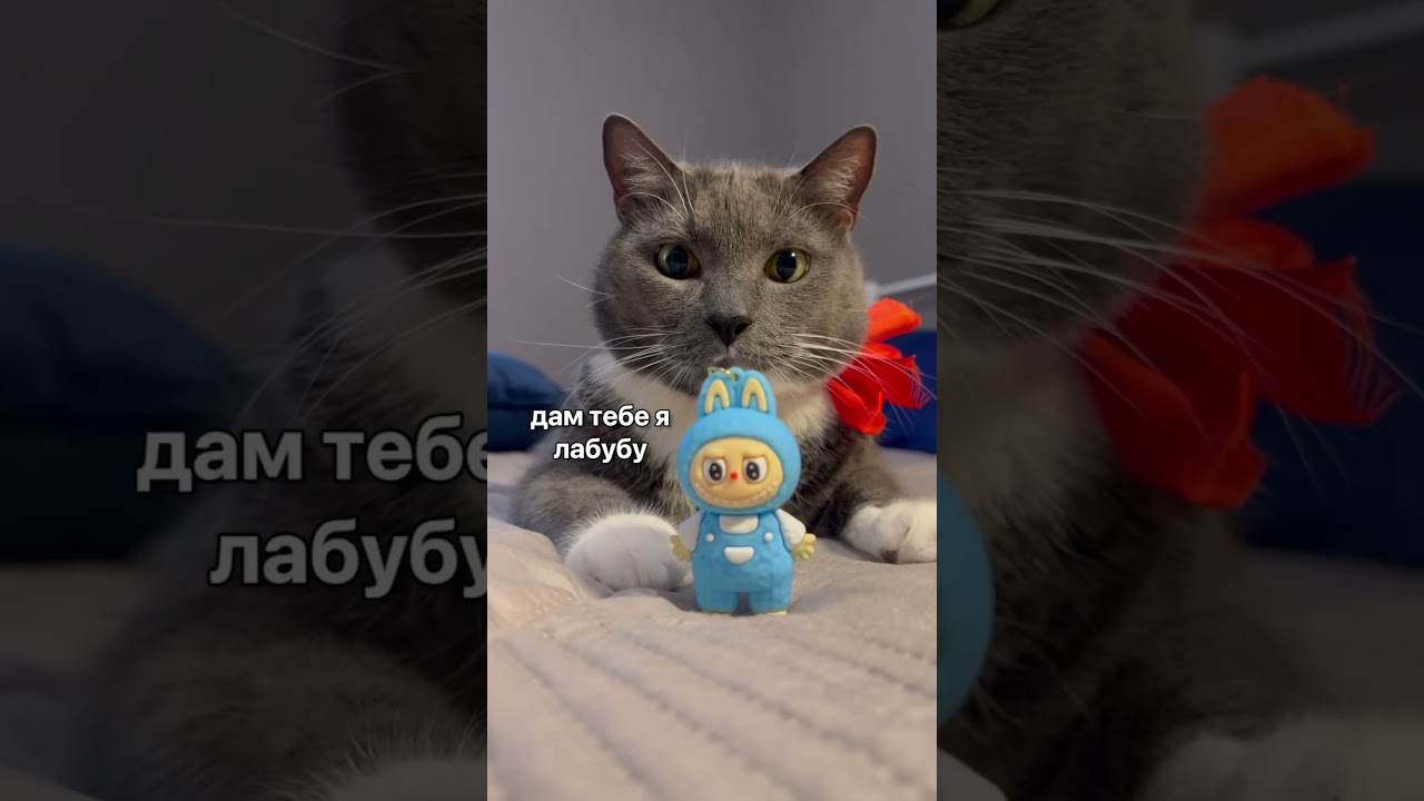 ЛОНЛИ ЛОНЛИ