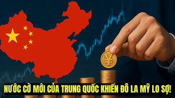 Cuộc Chiến Tiền Tệ Bùng Nổ: Doanh Nghiệp Trung Quốc Ở Nước Ngoài Sử Dụng Nhân Dân Tệ